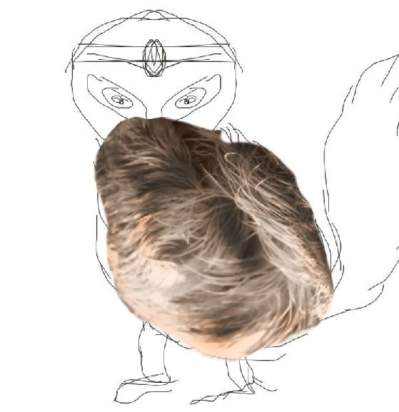 Creation of Walking: Step 2